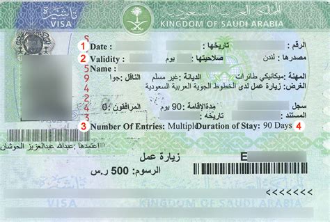 reading your saudi visa anyvisa