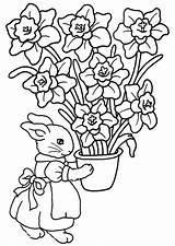 Lapin Coloriage Fleurs sketch template