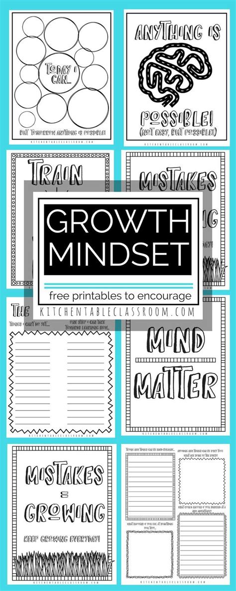 growth mindset celebrates  process  effort  learning