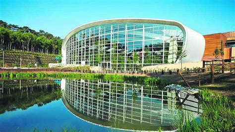 center parcs plan  community day westmeath independent