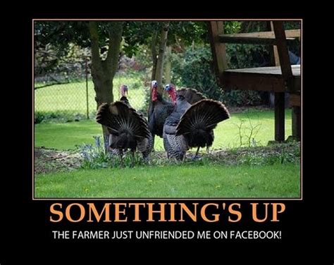 thanksgiving memes and fun pictures thechive