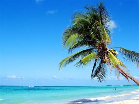 Jamaica World S 3rd Coolest Country Cnn