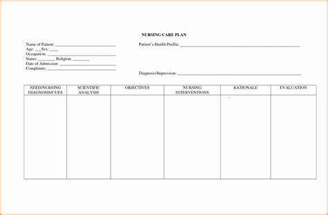 blank printable care plan template