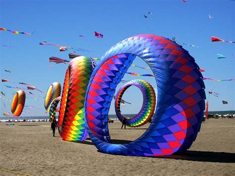 soar high   international kite festival