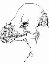 Pachycephalosaurus Head Coloring Pages Categories sketch template