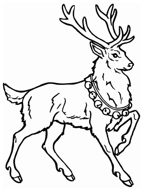 deer coloring pages coloringpagescom