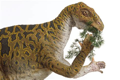 iguanodon dinosaur yubayosias