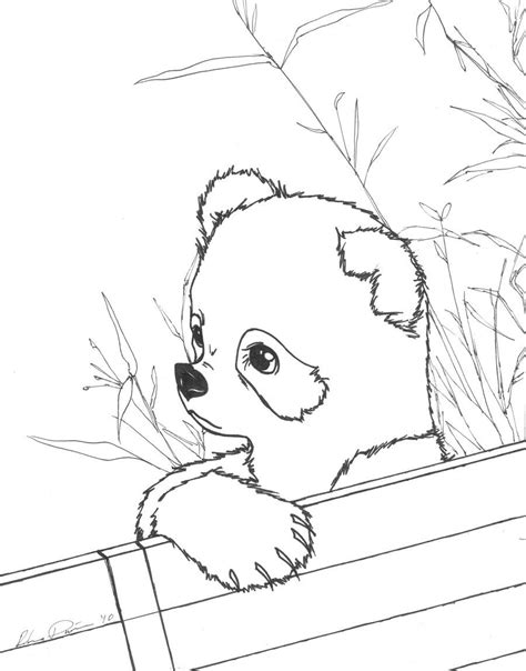 baby pandas coloring pages coloring home