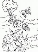 Coloring Garden Pages Flower Butterflies Drawing Beautiful Flowers Printable Butterfly Kids Print Clipart Drawings Simple Colouring Spring Sheets Summer Birds sketch template