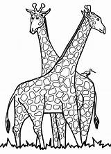 Giraffe Printable Outlines Coloring Pages Clipart Clip sketch template