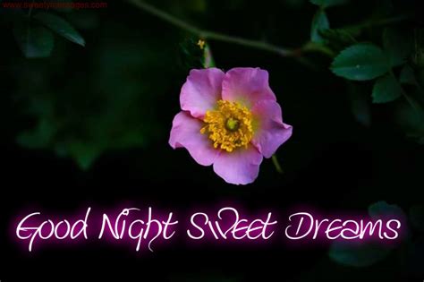 Have A Nice Sleep Images Beautiful Messages
