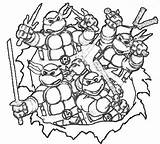Turtle Turtles Mutant Coloringonly Raskrasil sketch template
