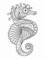 Seahorse Mandalas Zentangle sketch template