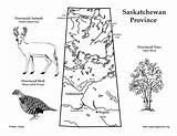 Saskatchewan Map Province Canadian Color Location Exploringnature sketch template