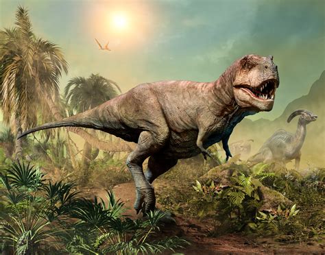 tyrannosaurus rex steckbrief  merkmale des dinosauriers