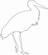 Crane Bird Silhouettes Outline Vector Coloring Pages sketch template