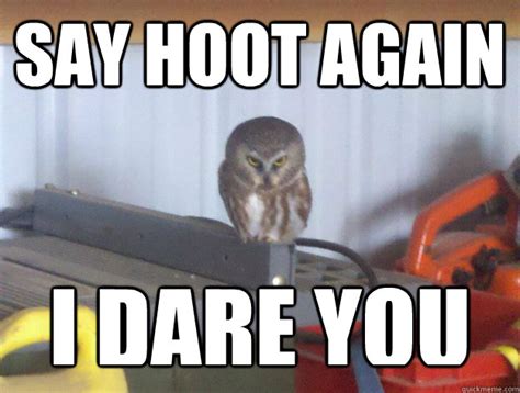 bitch hoot the fuck are you looking at evil owl quickmeme