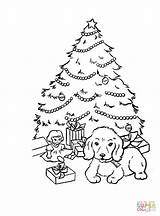 Christmas Tree Coloring Pages Dog Puppy Presents Sheet Sheets Gifts Xmas Printable Color Puppies Trees Print Under Present Gift Z31 sketch template