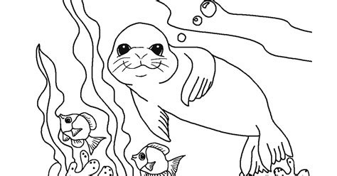 gambar mewarnai singa laut  anak anak contoh anak paud