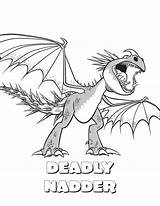 Dragon Train Coloring Pages Nadder Kids sketch template