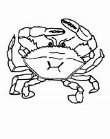 Crab Coloring Pages Color Kids Animals Print Cartoon Cliparts Printable Drawing Clip Clipart Blue Colouring Water Animal Template Sheets Reserved sketch template