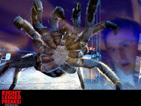 Horror Movies Images Eight Legged Freaks Hd Wallpaper And