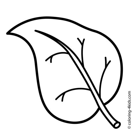 leaves coloring pages  print   leaves coloring