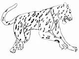 Coloring Pages Animal Jaguar Animals Realistic South Kids Drawing America Simple Color Print American Jungle Printable Jumping Step Big Drawings sketch template