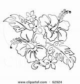 Coloring Printable Pages Flower Hawaiian Hibiscus Getcolorings Tattoo sketch template