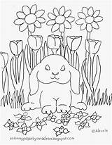 Coloring Lop Rabbit Eared Pages Adron Mr Kids sketch template