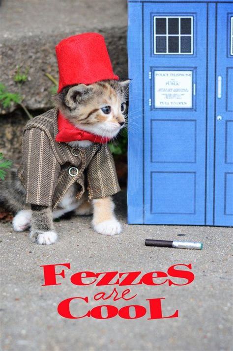 Fezzes Are Cool Tiny Kittens Dressed As Iconic Fantasy Characters Are