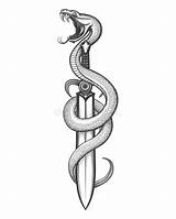 Serpente Spada Dagger Tatuaggio Espada Serpiente Tatuaje Cobra Serpent Schlange Schwert Drawn Stampino Hotelsmod Pequeos Rfclipart Fokaimedical sketch template