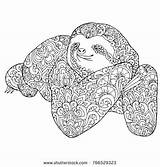 Sloth Zentangle Pages Coloring Doodle Animal Abstract доску выбрать Composition Adult sketch template