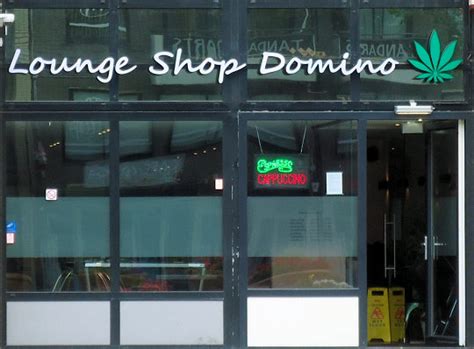 lounge shop domino almere amsterdam coffeeshop directory