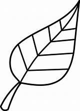 Leaf Clip Outline Clipart Leaves Color Drawing Spring Fall sketch template