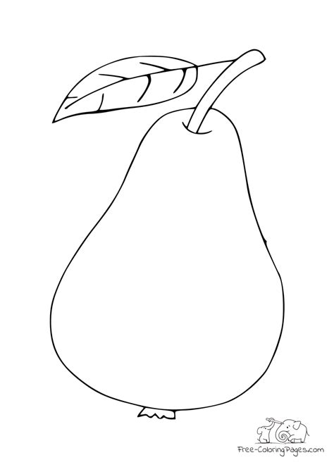 coloring page pear  leaf  coloring pages