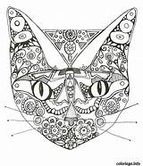 Coloriage Mandala Coloring Imprimer Anti Stress Adulte Dessin Cat Pages Colorier Coloriages Et Color Chat Animaux Pour Gratuit Colouring Les sketch template