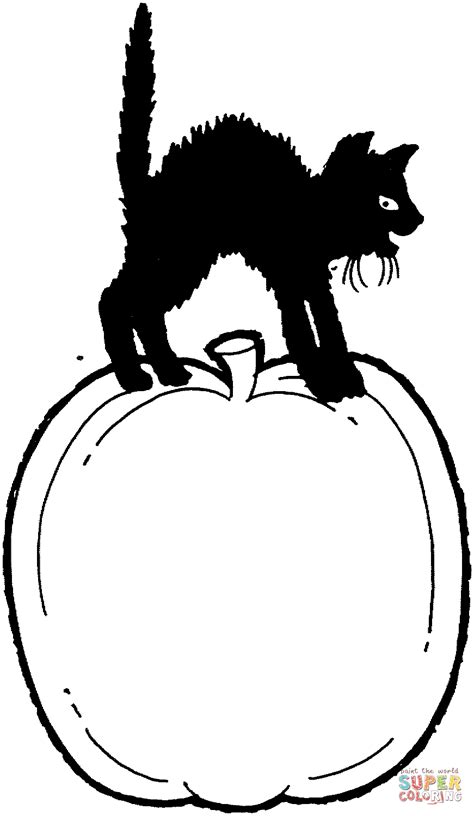 black cat  standing   pumpkin coloring page  printable