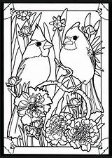 Coloring Pages Birds Cardinal Adult Stained Glass Cardinals Bird Book Printable Color Dover Beautiful Para Adults Colorear Pairs Patterns Publications sketch template