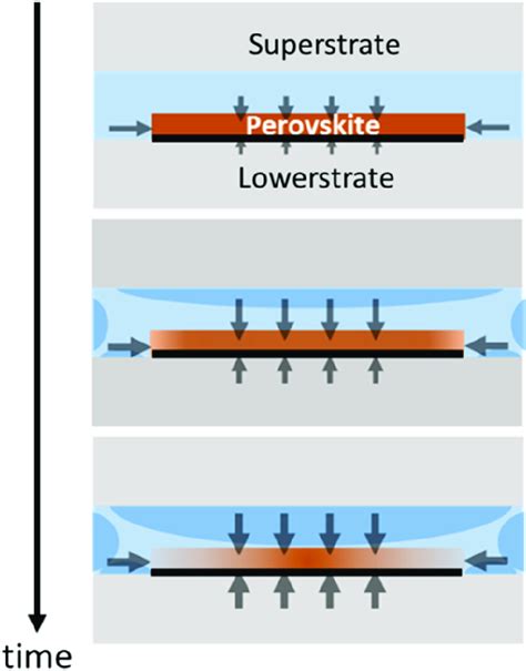schematic showing permeation pathways  water  time initially  scientific