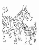 Zebra Coloring Pages Baby Foal Mother Printable Its Animal Clipart Standing Born Just Kids Mom Cute Color Drawing Getcolorings Library sketch template