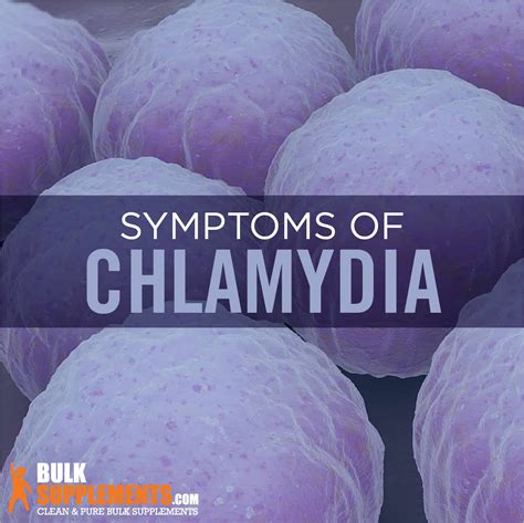 Chlamydia Characteristics Causes And Treatment