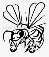Hornet Clipart Coloring Clipartkey sketch template