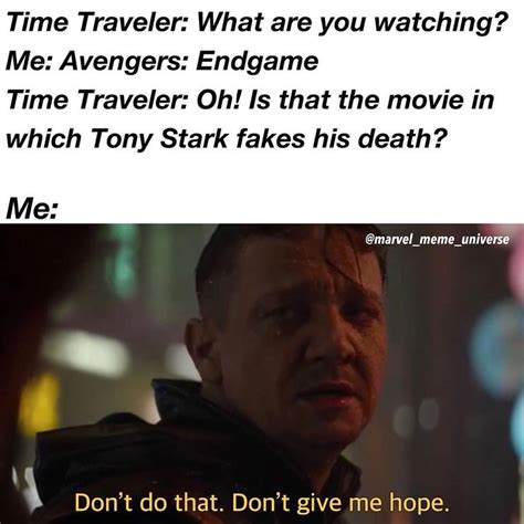 20 Funniest Avengers Endgame Time Travel Memes