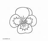 Viola Coloring Printable Pages Flowers Dot sketch template