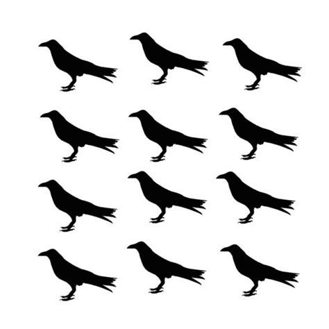 primitive black crow vinyl decals decor   householdwords