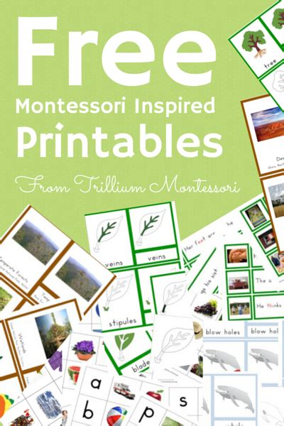 join   resource library trillium montessori montessori