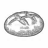 Loaf Pane Pagnotta Laib Brood Engraving Incisione Disegnata Nera Annata Bakery Schwarze Gezeichneter Brotes Vektors Uitstekende Getrokken Gravure Zwarte Label sketch template