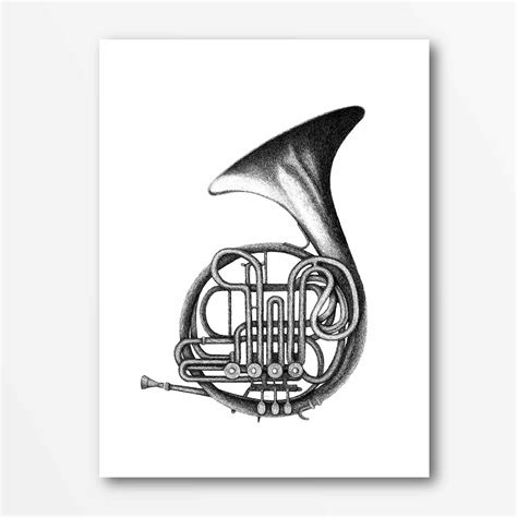 french horn illustration  behance illustration french horn horns