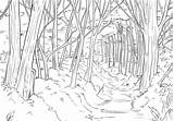 Forest Coloring Drawing Pages Adults Desert Save Detailed Visit Sketch Adult sketch template
